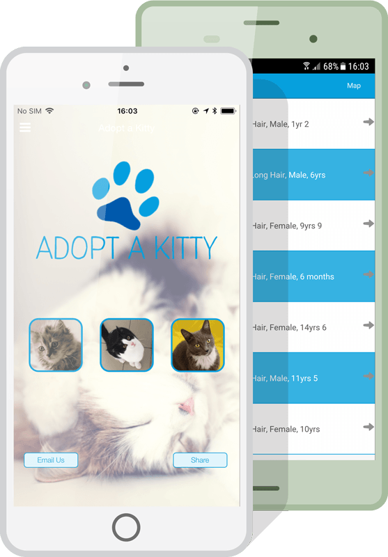 Charity Apps Phone Example